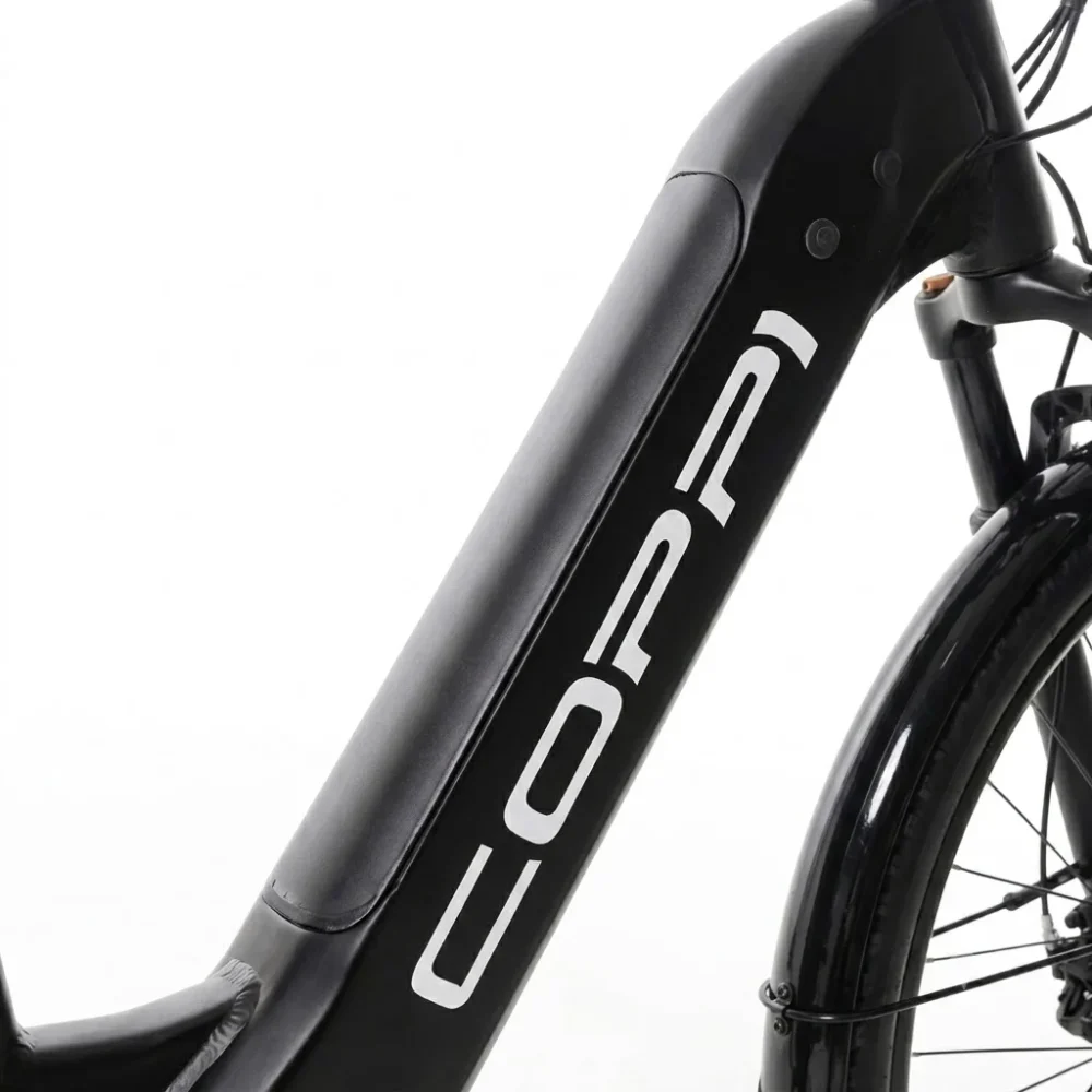 batteria-bici-elettrica-per-citta-forest-27