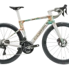 bici-da-corsa-professionale-greenspeed-3