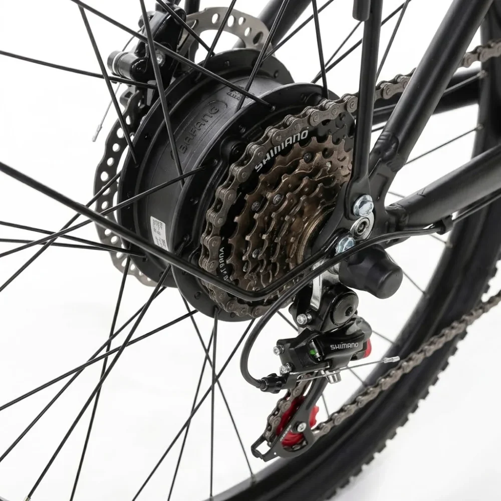 motore-posteriore-bici-elettrica-per-citta-forest-27