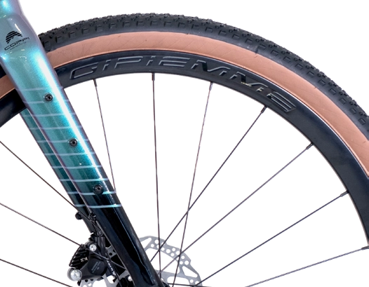 ruota-bici-gravel-elettrica-professionale-electrictour