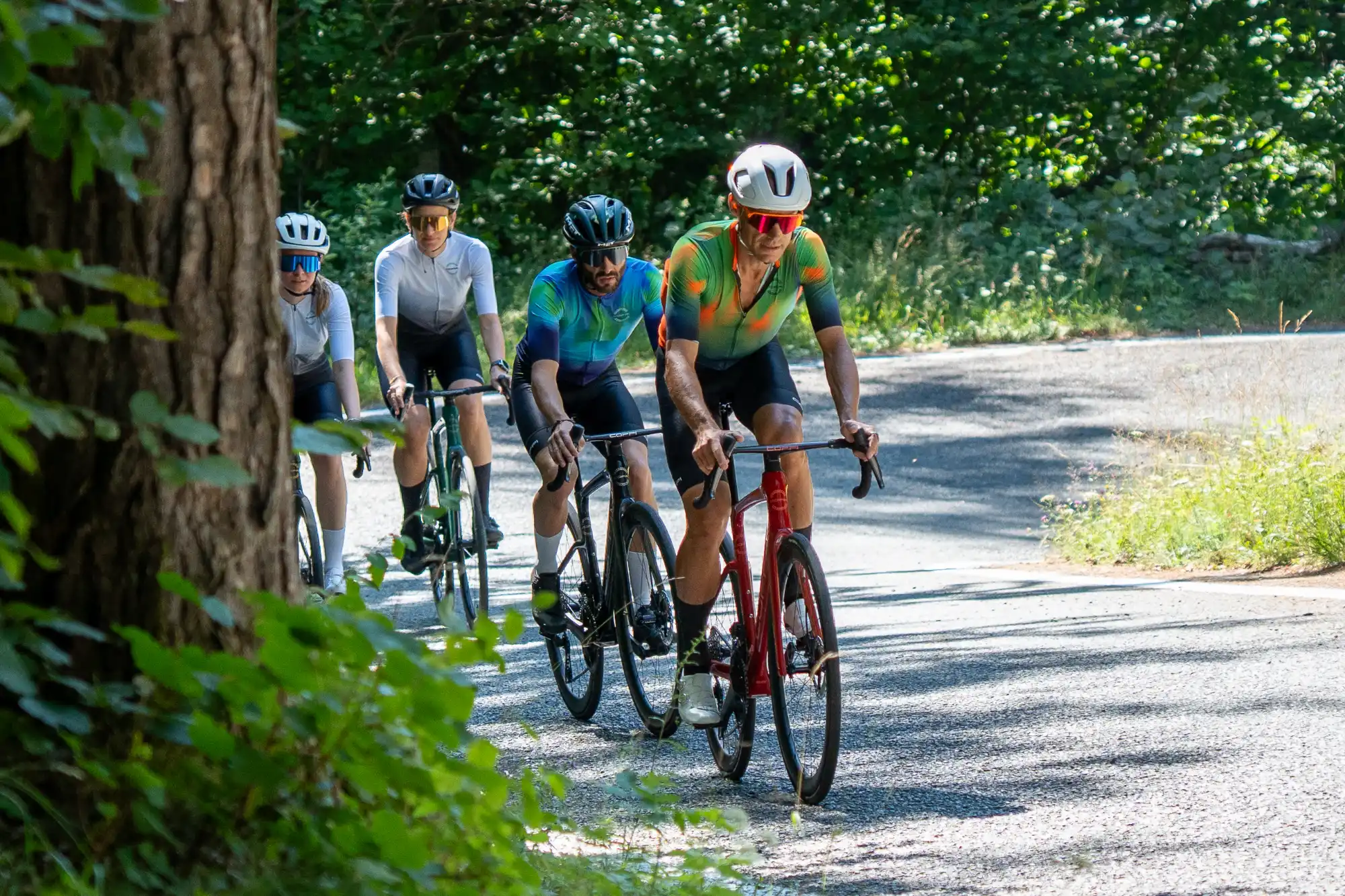 biciclette-per-ciclisti-esigenti-e-appassionati