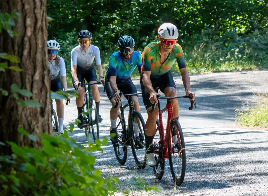 biciclette-professionali-per-strade-bianche-sterrati-e-percorsi-misti