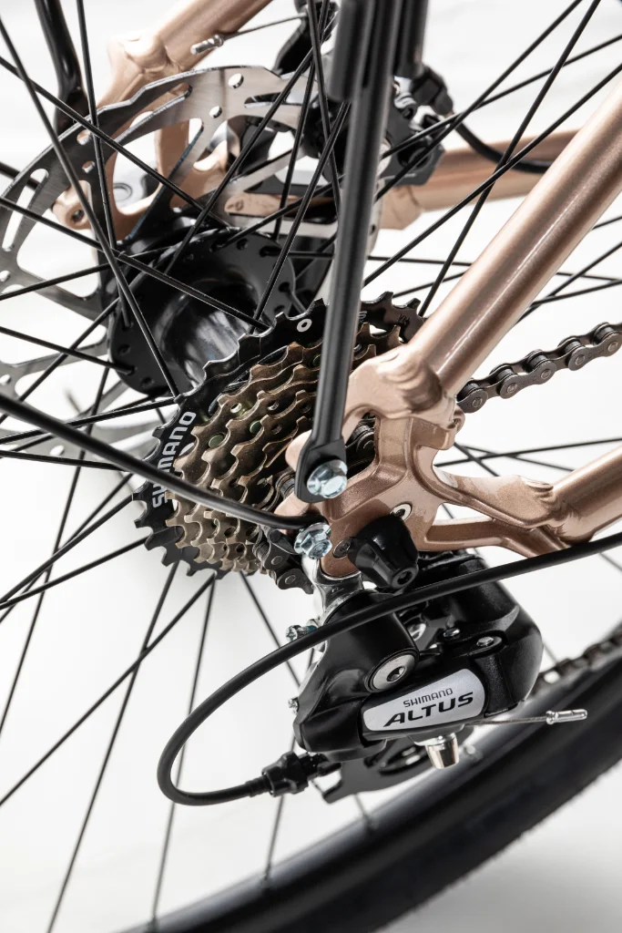urban-e-bike-per-strade-bianche