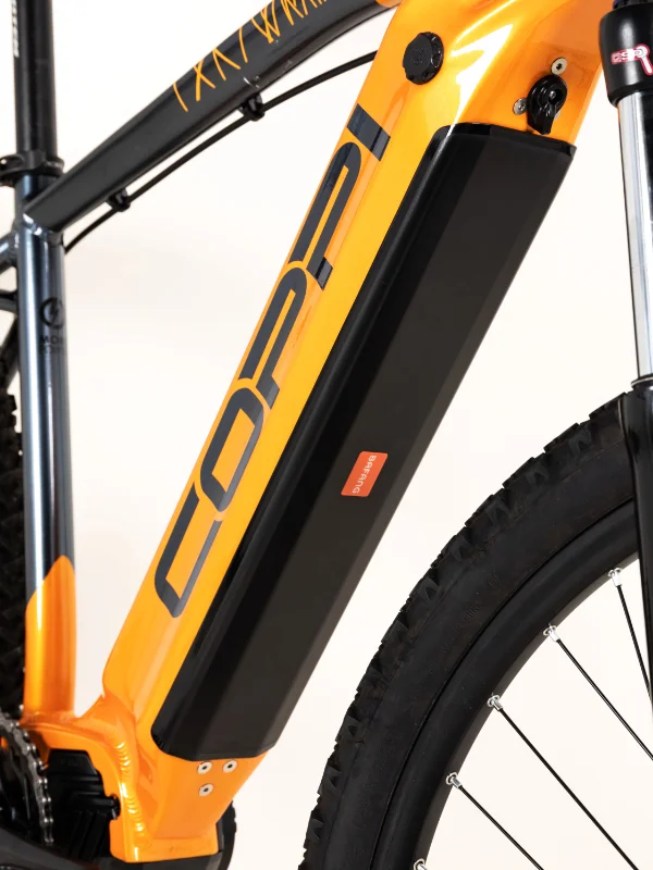punti-vendita-per-riparazione-bici-coppi